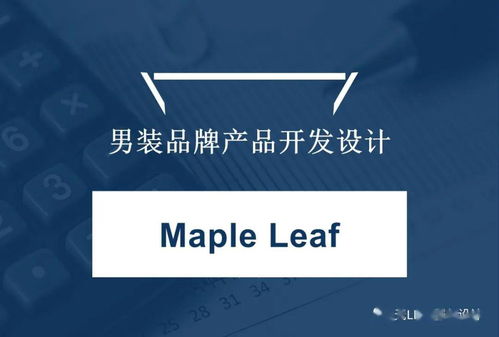 设计师 初舞台 浙纺院大一学徒生 男装产品开发与制作 作业全案