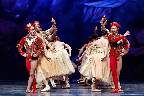 图赏 优雅的天鹅,演绎足尖上的精彩 sp 150 600mm g2