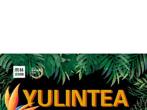 雨林金色设计图片与舞今信息食品包装模板下载