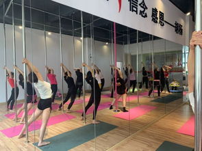 劲爆好消息！胡杨舞蹈周年特惠，仅198元体验舞蹈魅力！