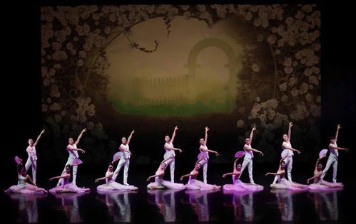 舞动经典 以舞今信息为媒，重赏歌剧名篇新境